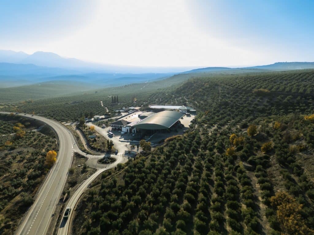 enoturismo