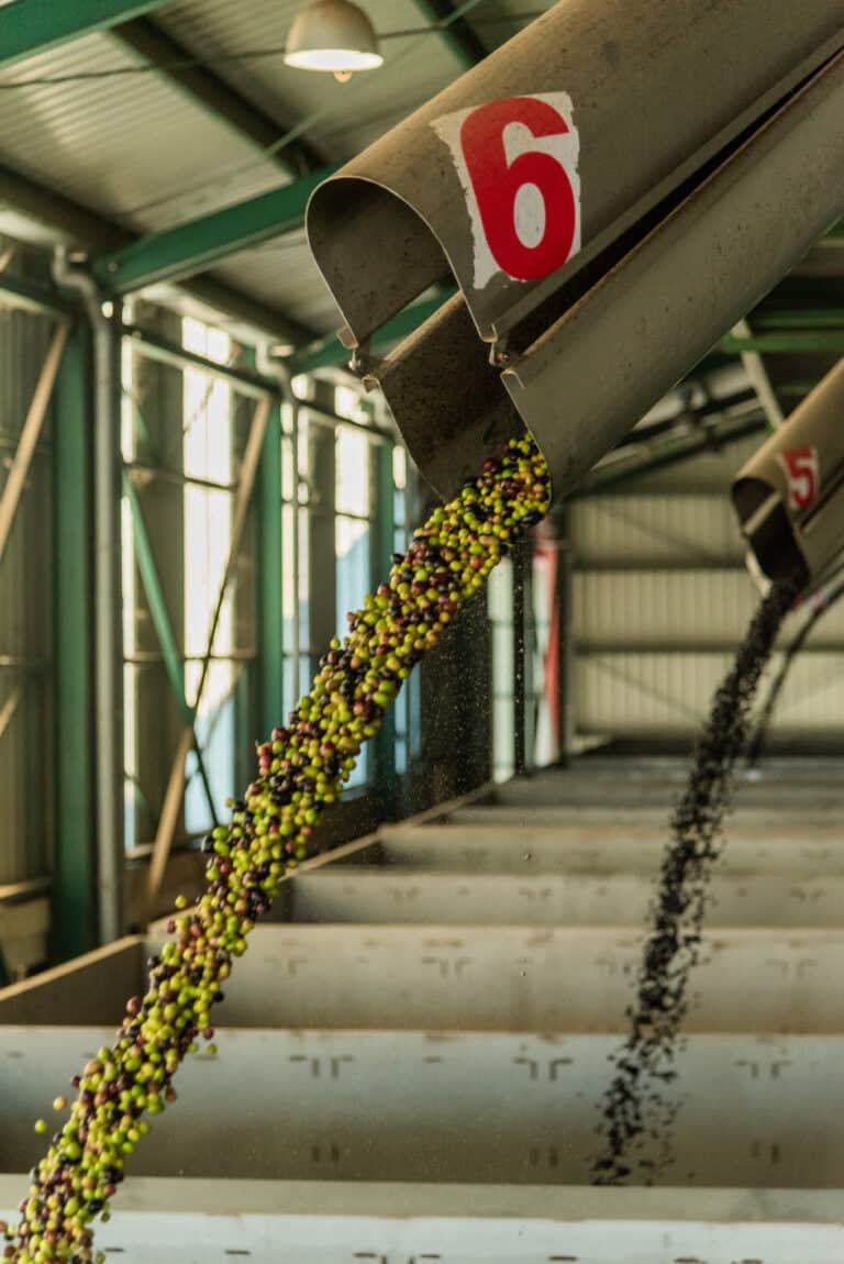 Aceite con Denominación de Origen de Úbeda