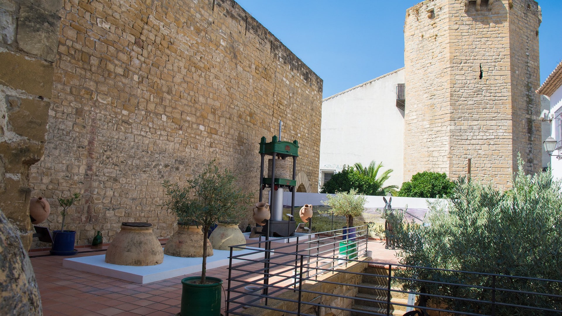Centro de Interpretación Olivar y Aceite